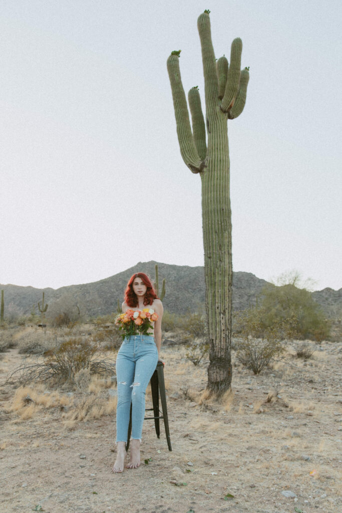 arizona saguaro cactus 