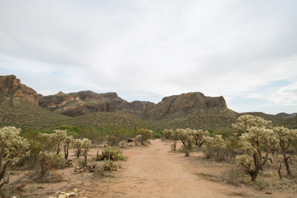 Salt River Engagement Session in Arizona