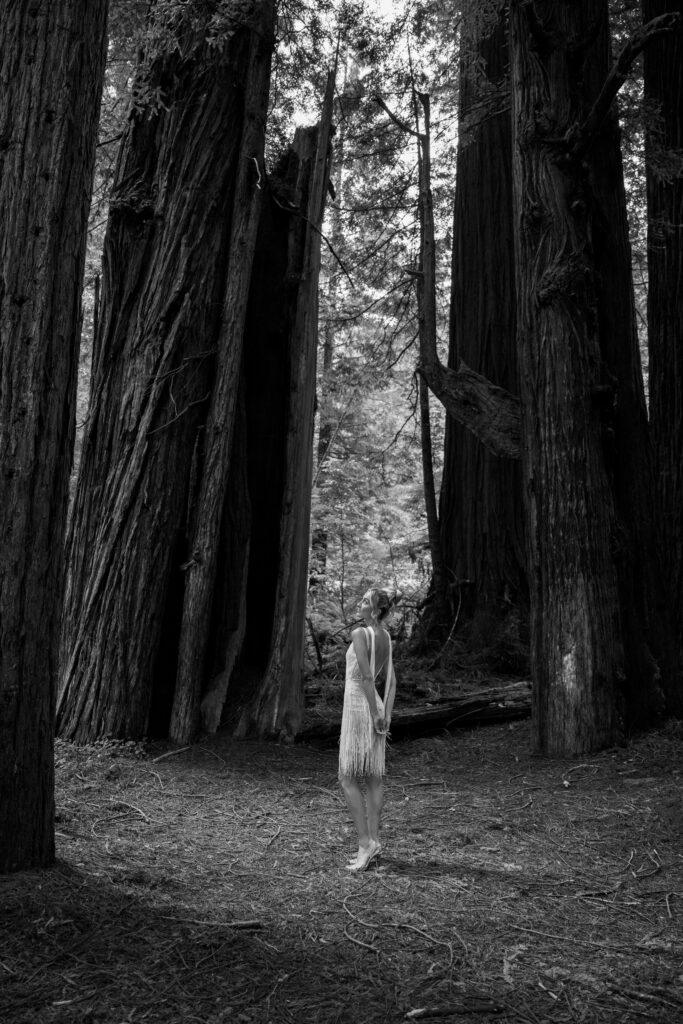 bridal portraits in the redwoods