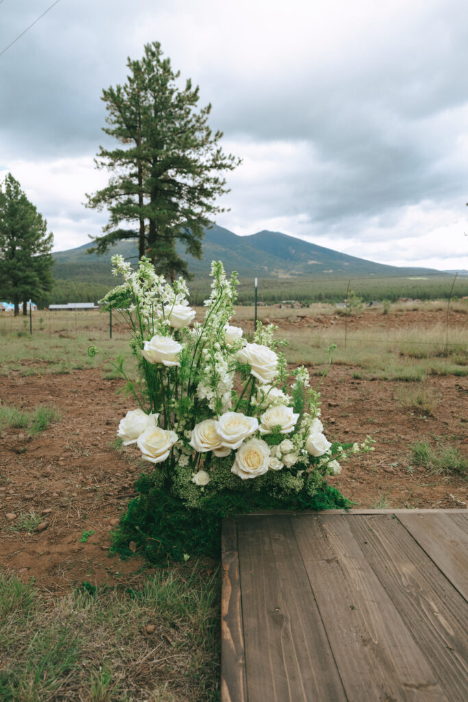 a timeless wedding in Flagstaff, Arizona