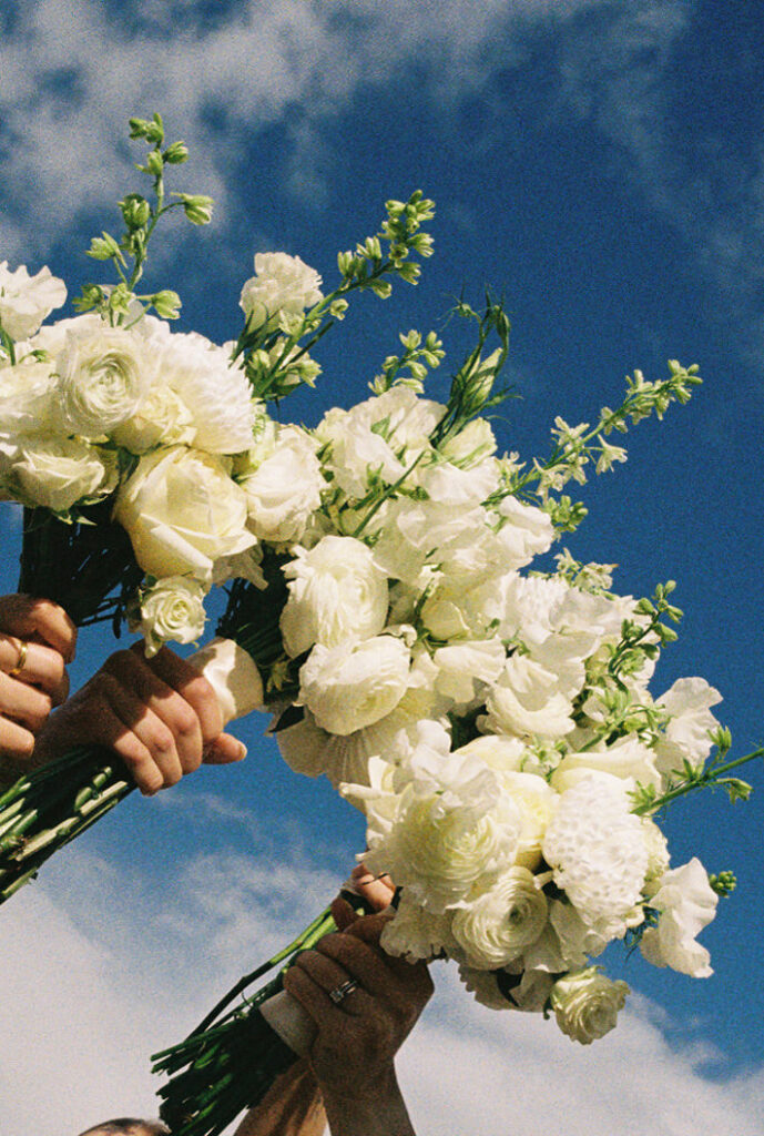 a timeless wedding in Flagstaff, Arizona